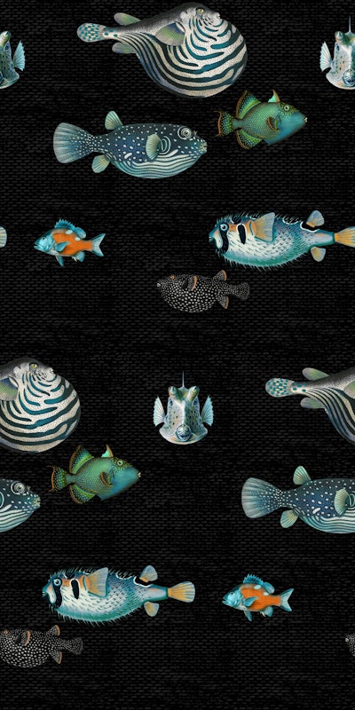 Pattern