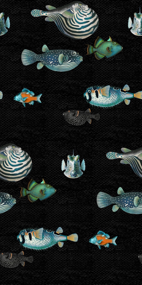 Acquario Fish pattern in black