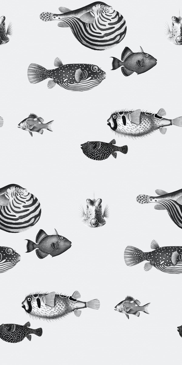 Acquario Fish pattern in black and white