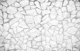 Rustic Loft Stone Wall 4