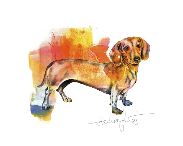 Wiener Dog Dachshund Art