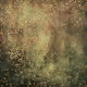 Olive Galaxy