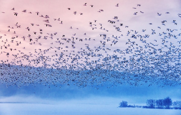 Flying in the fogging morning