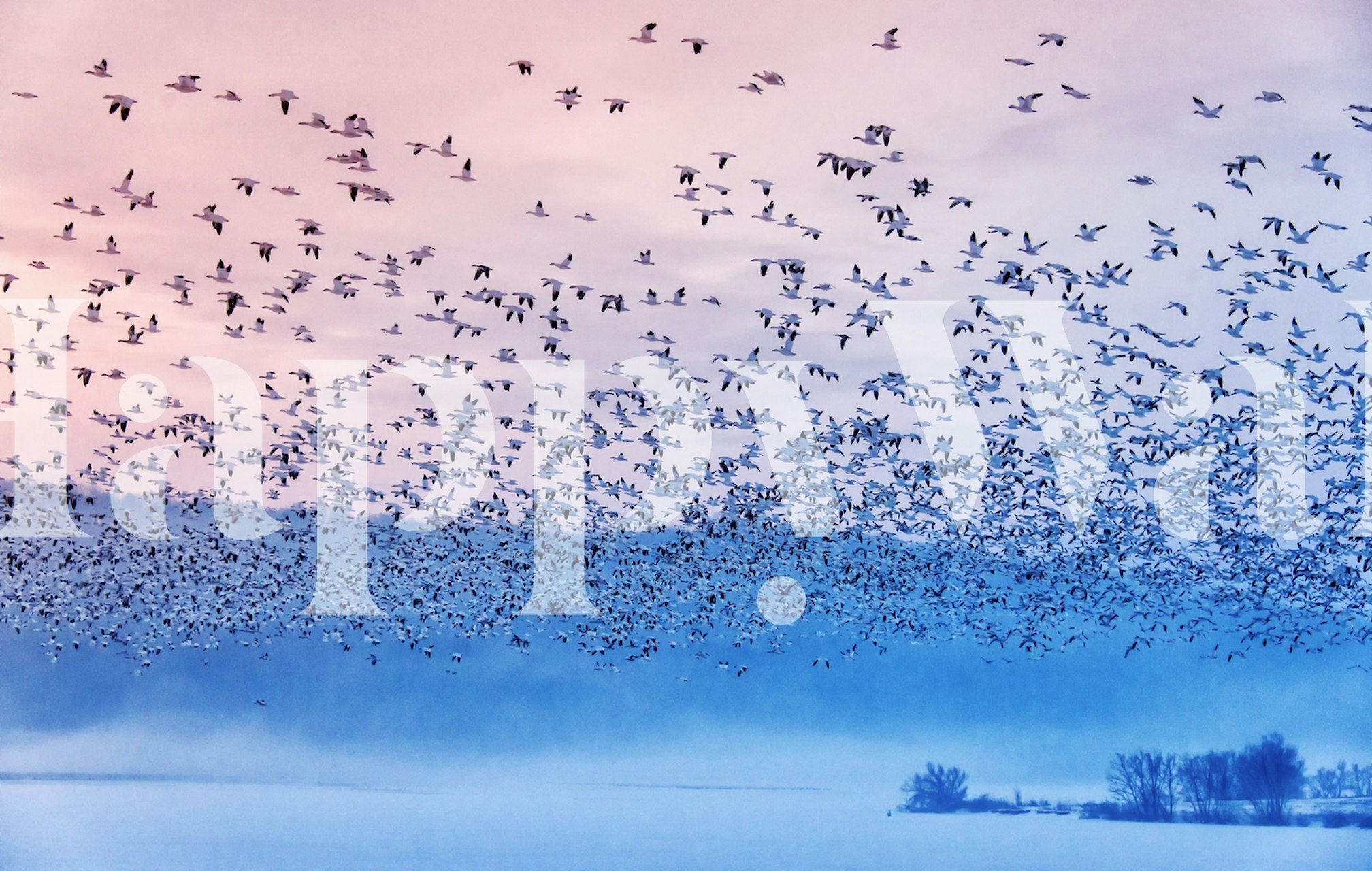 Υπόβαθρο του flying in the fogging morning σε ομιχλώδη τοπία