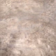 Snake Skin - Peach