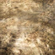 Snake Skin - Bronzed Gold