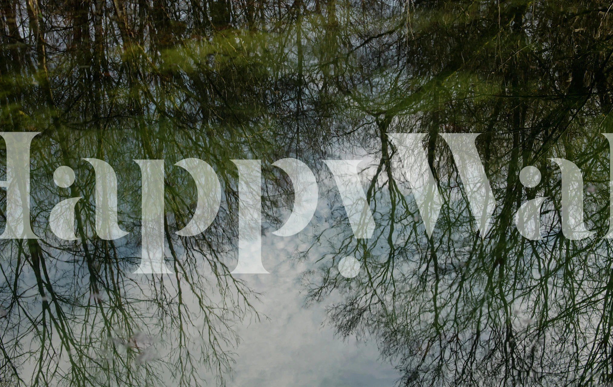 Tree silhouettes reflected in a lake.