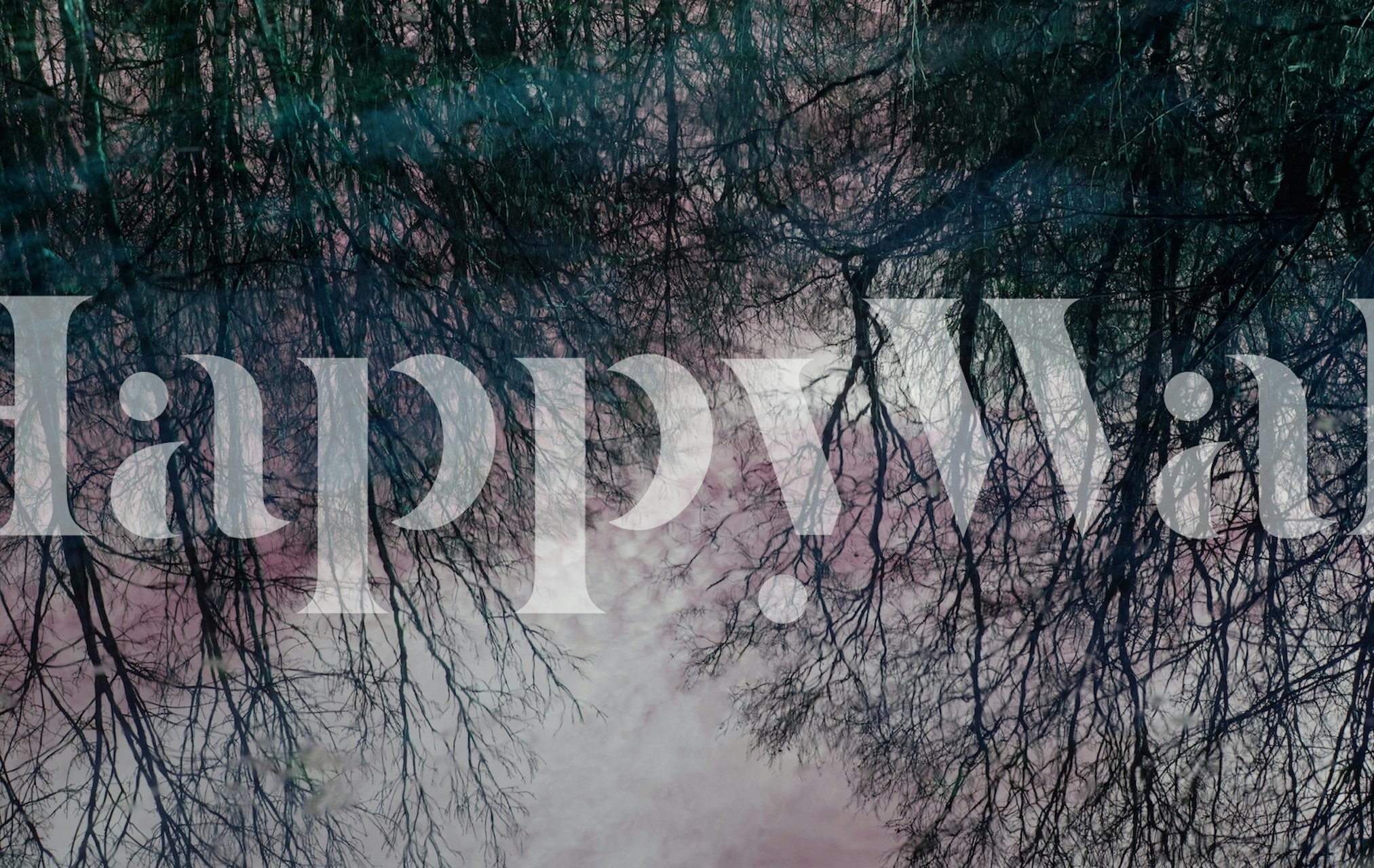 Tree silhouettes reflecting in water with dark tones wallpaper