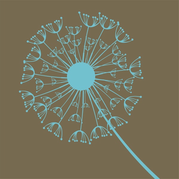 Coffee brown cyan dandelion jumbo flower