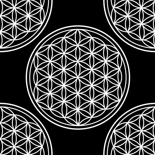 Sacred Geometry-Flower Of Life pattern 3