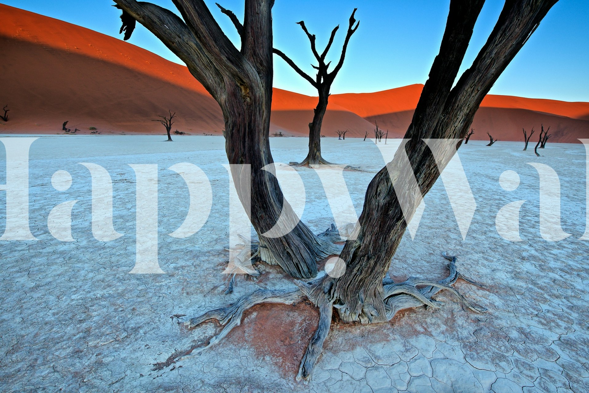Desert landscape with ancient trees and red dunes wallpaper
