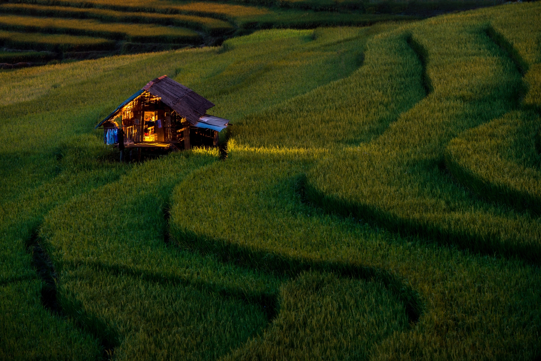 Light in Home wallpaper - Happywall