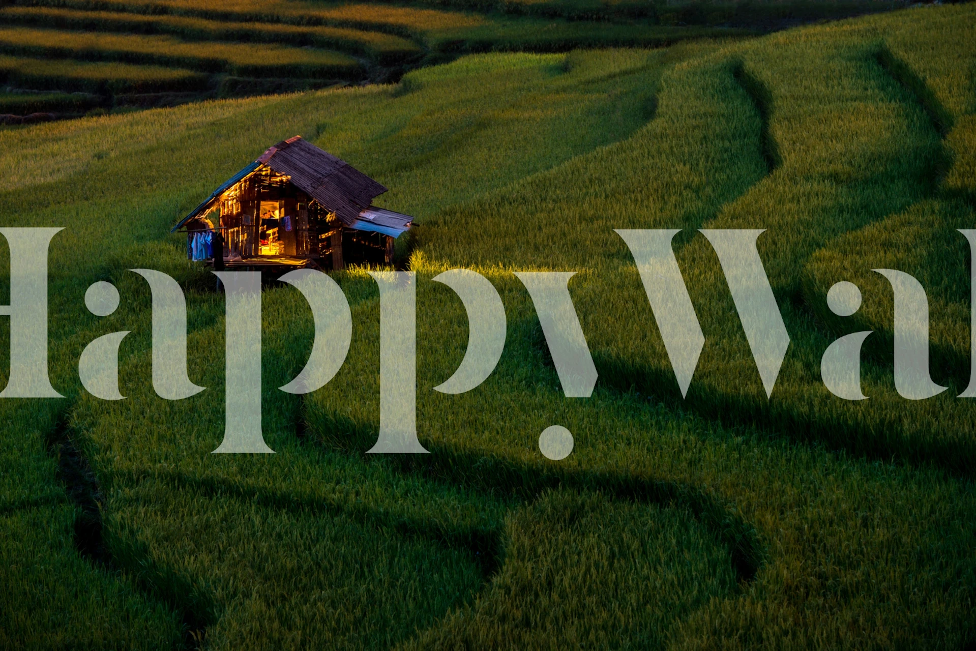 Przytulny design tapety z Light in Home w pokoju