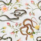 Snakes, roses and chinese calendar in white