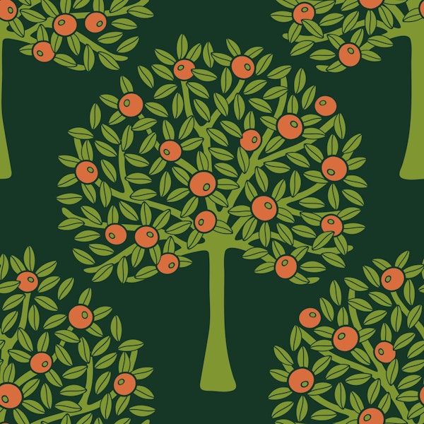 ORANGERIE Citrus Fruit Tree - Dark Green