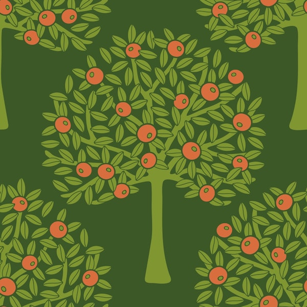 ORANGERIE Citrus Fruit Tree - Avocado Green