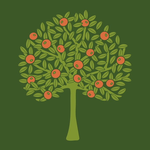 ORANGERIE Single Fruit Tree - Avocado Green