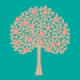 ORANGERIE Single Fruit Tree - Turquoise