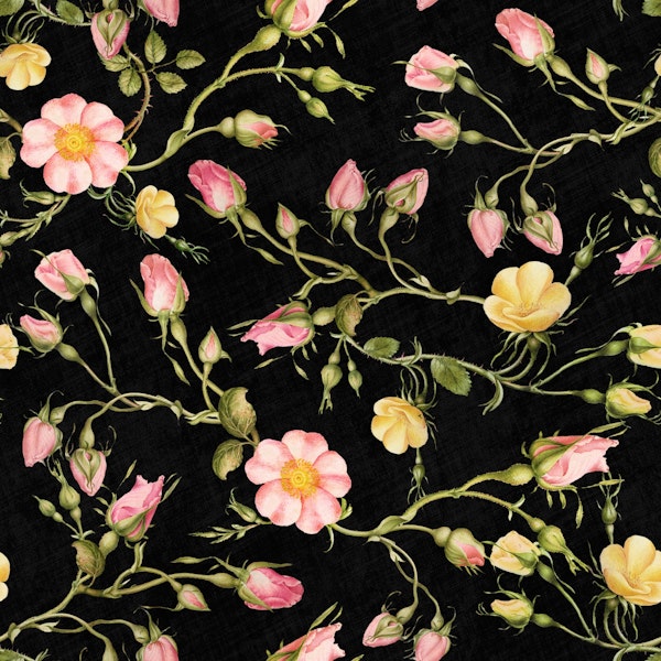 Vintage Roses in black
