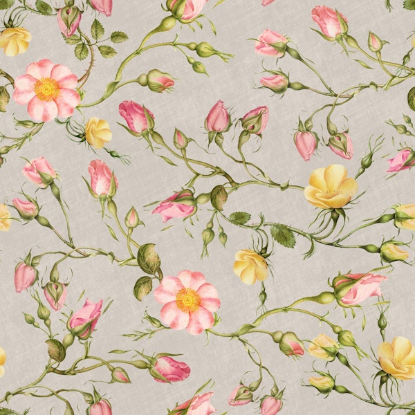 Vintage Roses in cream