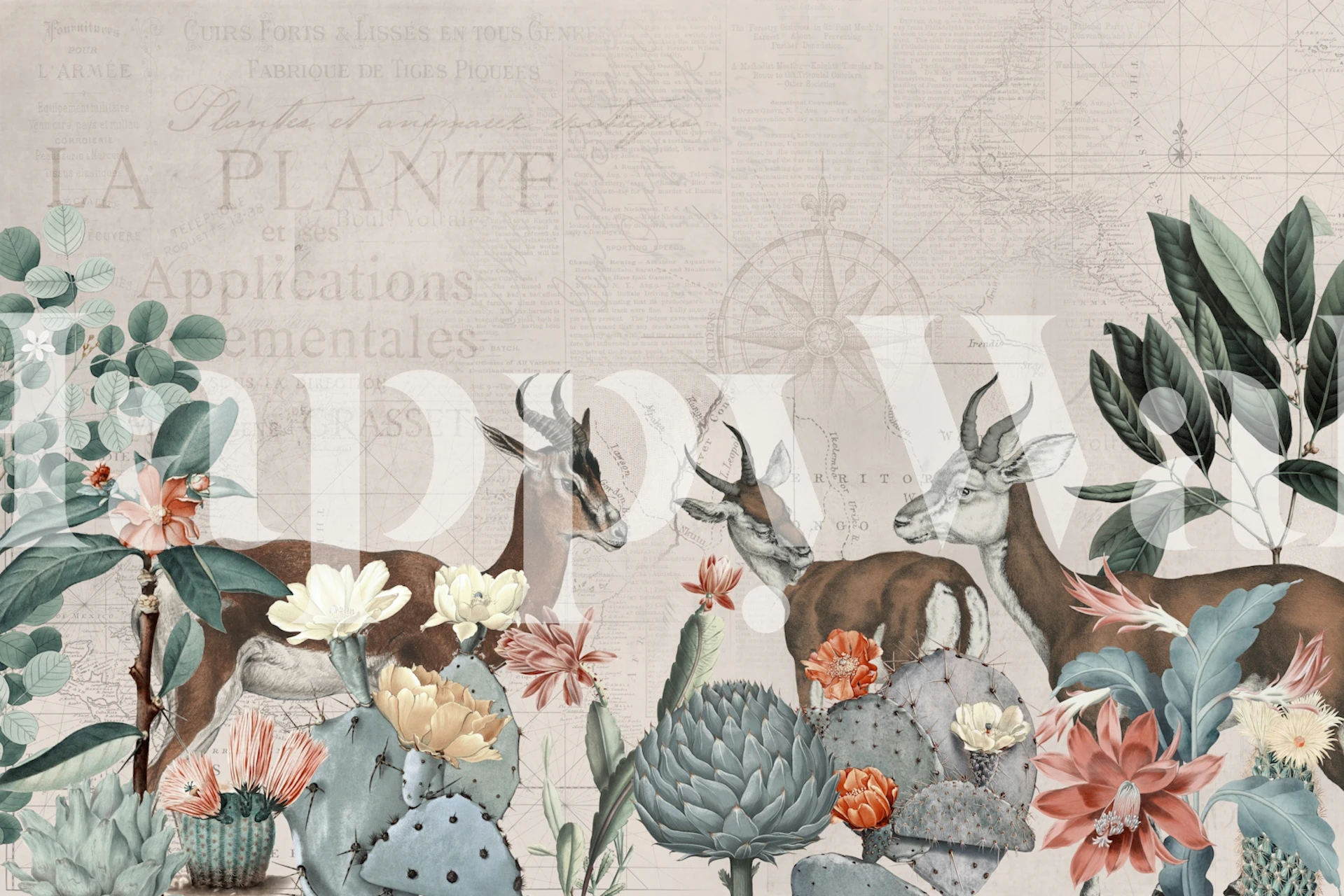 Desert Wildlife wallpaper in a modern room