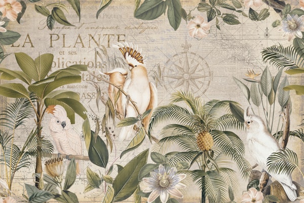 Nostalgic Cockatoo Jungle Adventures