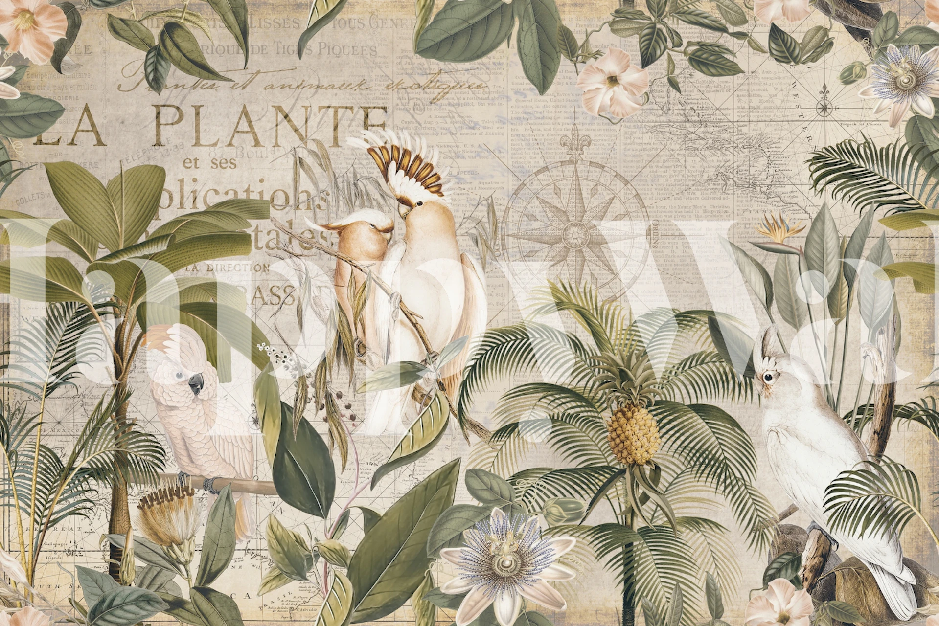 Tropical jungle wallpaper featuring cockatoos, palms, and floral elements in soft colors