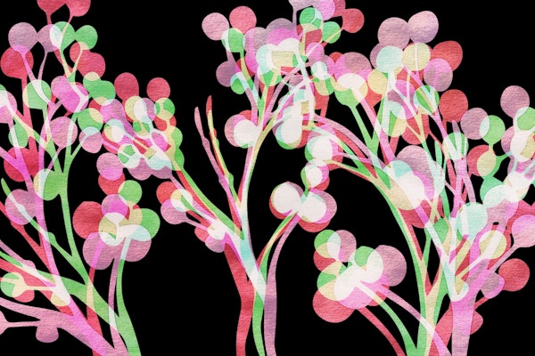 Asian Cherry Tree Branches Watercolor