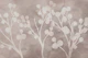 Pure Neutral Asian Tree Branch