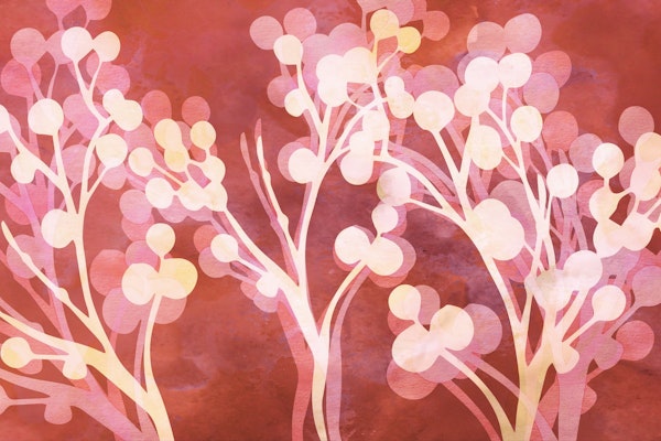 Cherry Tree Branch Blossoms Watercolor