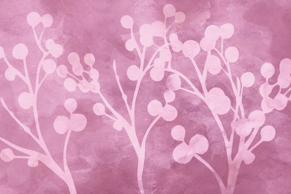 Cherry Tree Branch Blossoms Watercolor