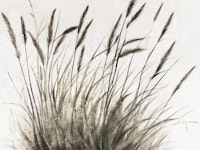 Pure Dry Grass Meadow Illustration tapete