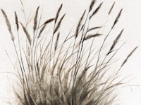 Pure Dry Grass Meadow Illustration tapet