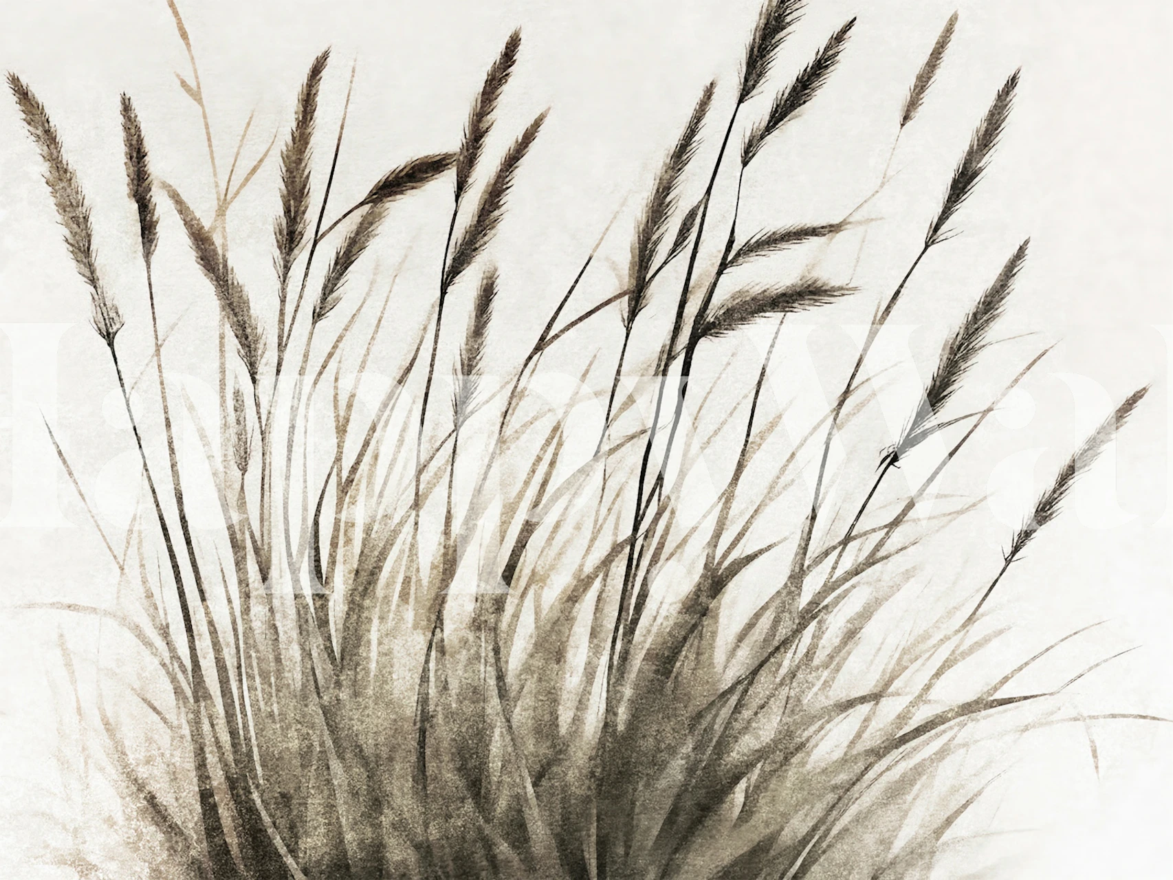 Pure Dry Grass Meadow wallpaper in a room