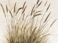 Pure Meadow Landscape Illustration tapete