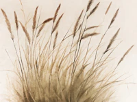 Pure Meadow Landscape Illustration wallpaper