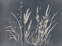 Dried Wild Flowers Landscape wallpaper