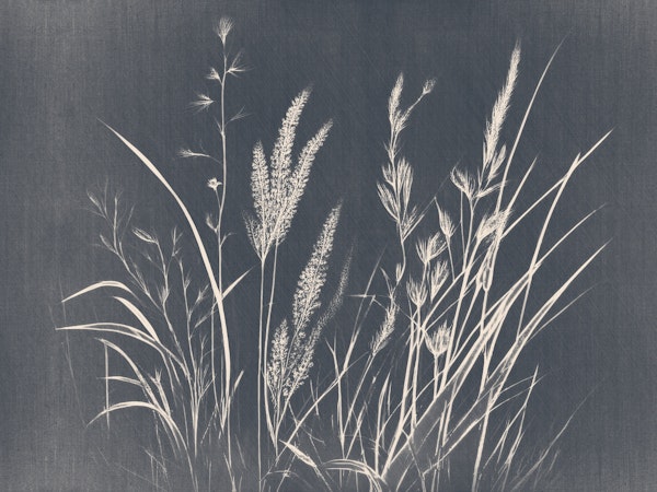 Dried Wild Flowers Landscape