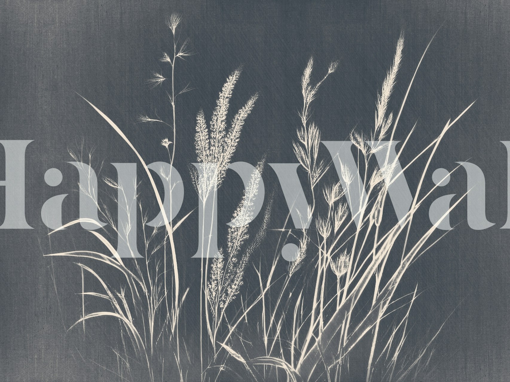 Monochrome dried wild flowers on a soft background wall mural