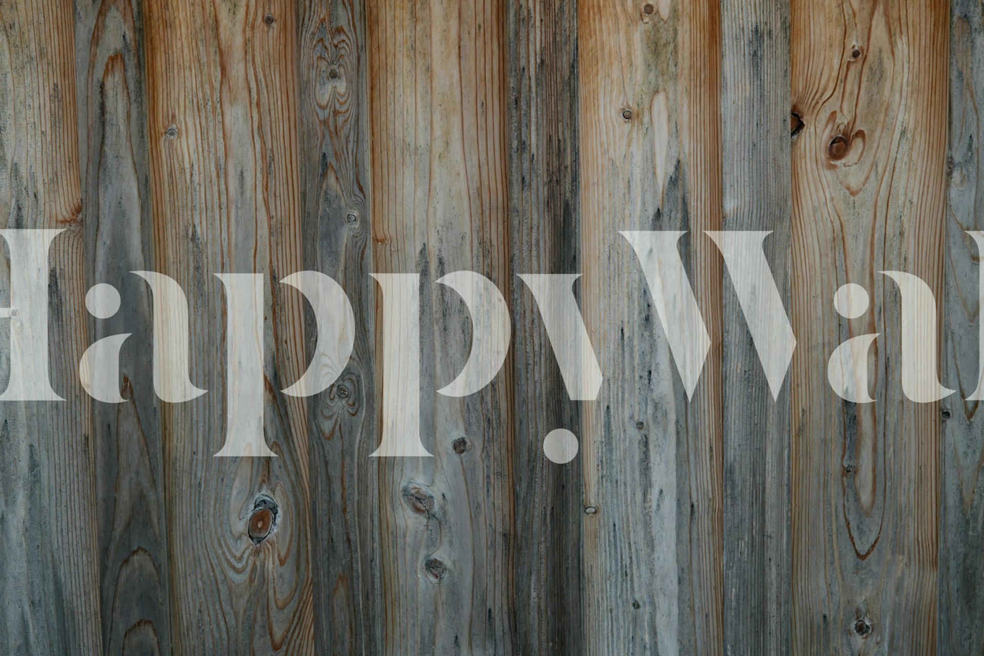 Rustic wood texture wallpaper in a room