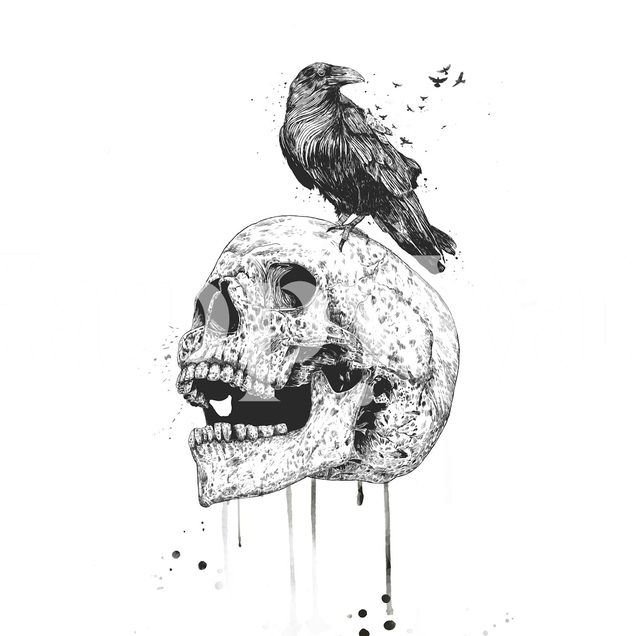 Skull wallpaper in a modern interior