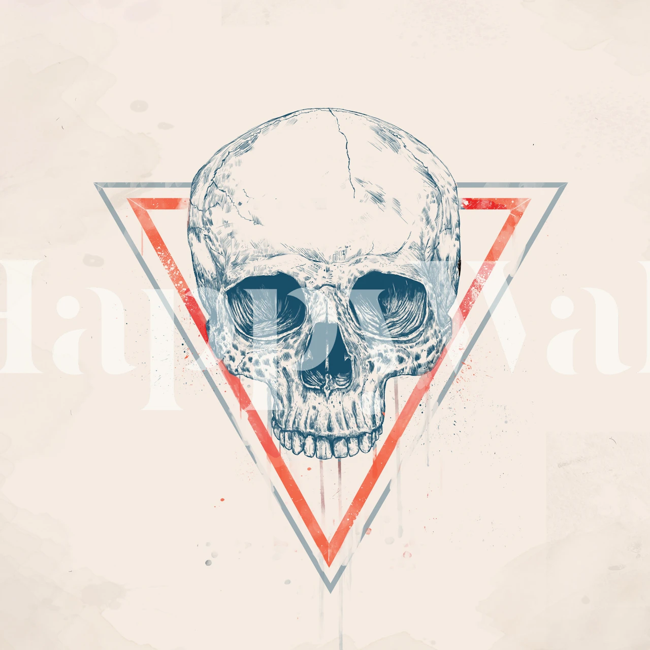 Graphic skull entwined with red triangles against a textured background wall mural