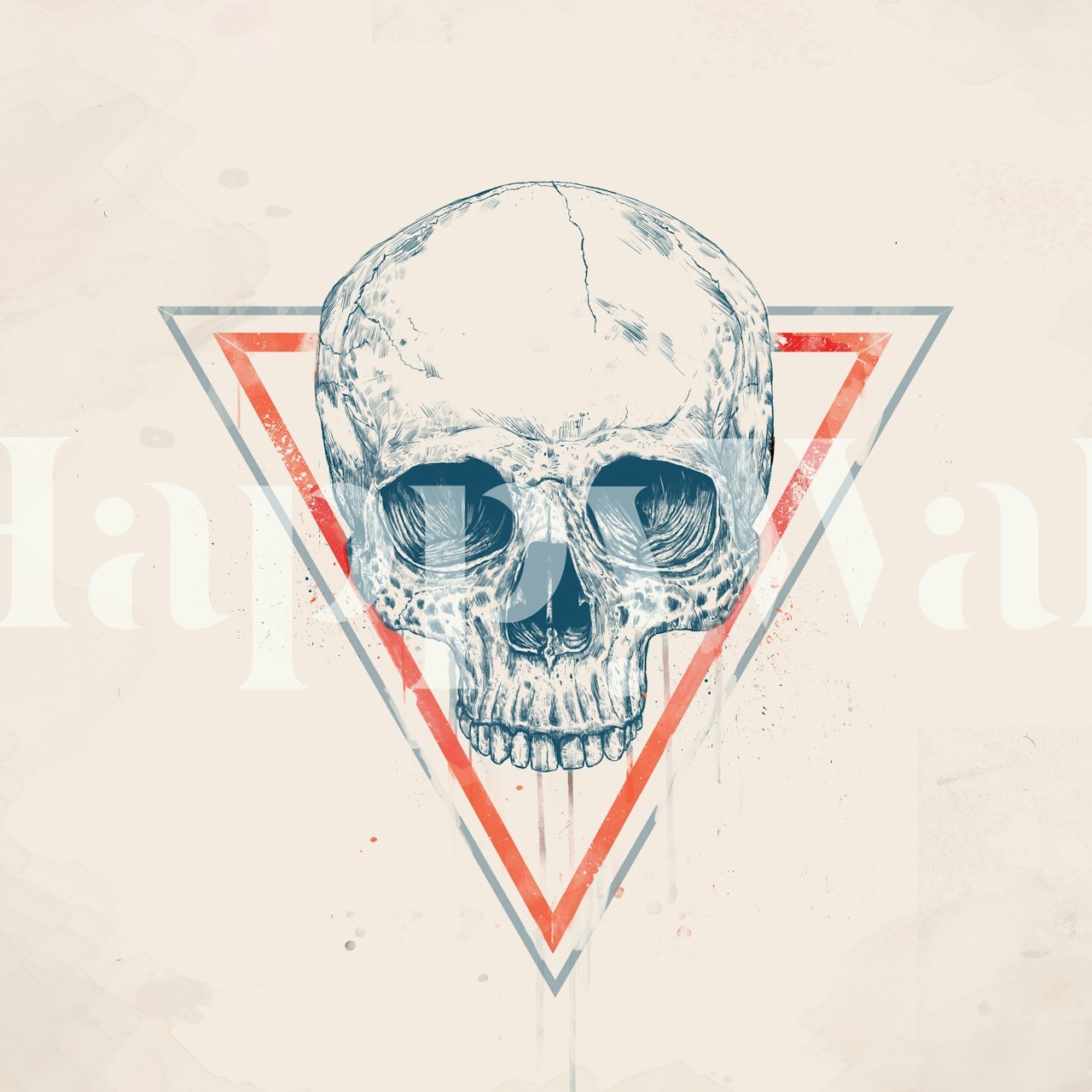 Graphic skull entwined with red triangles against a textured background wall mural