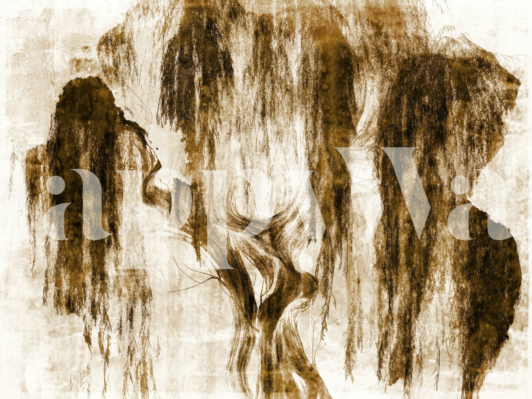 Willow tree illustration in brown hues on textured background wallpaper