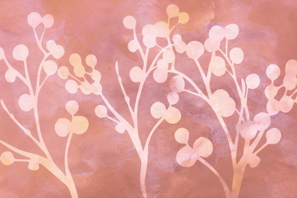 Japanese Sakura Branches