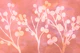 Japanese Sakura Branches