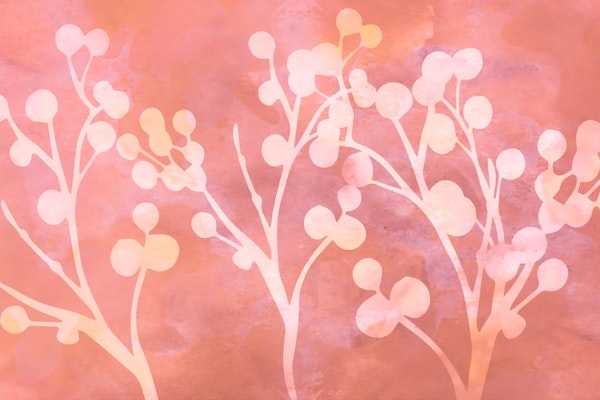 Japanese Sakura Branches