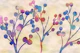 Branches and Blossoms