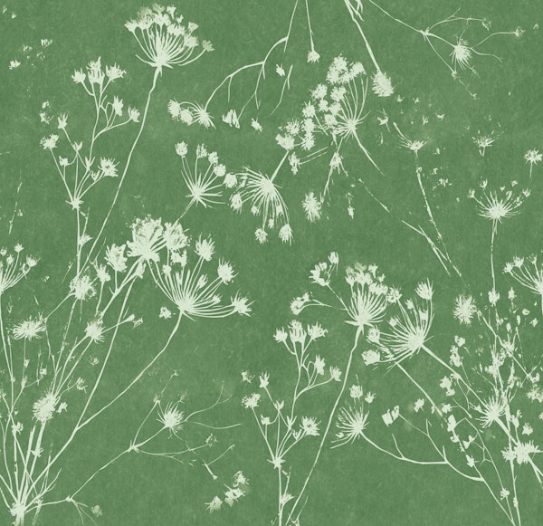 Branches and Blossoms