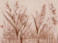 Japanese Wild Flower Meadow tapete